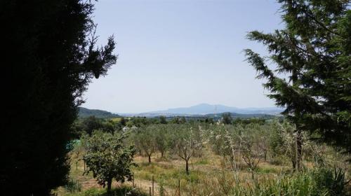 Azienda Agricola in vendita a Montalcino