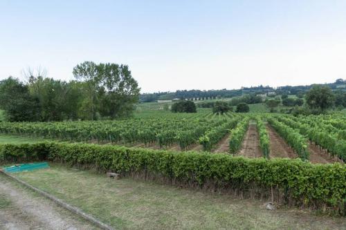 Casale in vendita a Montepulciano