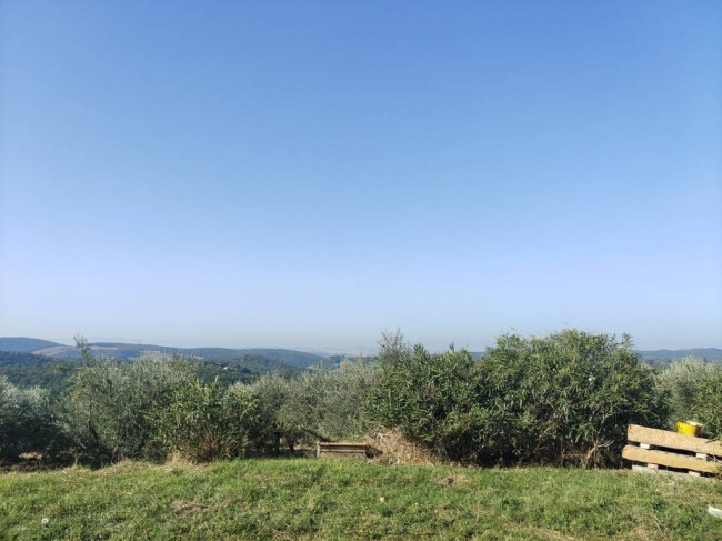 Appartamento in vendita a Trequanda