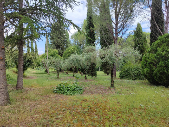 Villa in vendita a Asciano (SI)