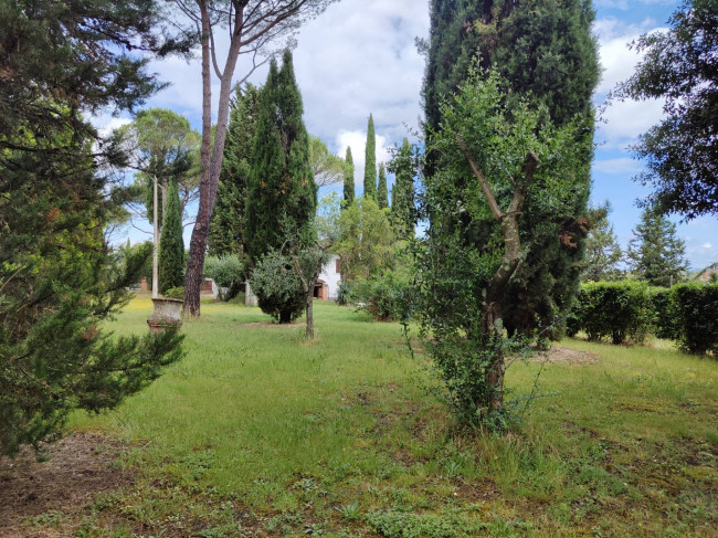 Villa in vendita a Asciano (SI)