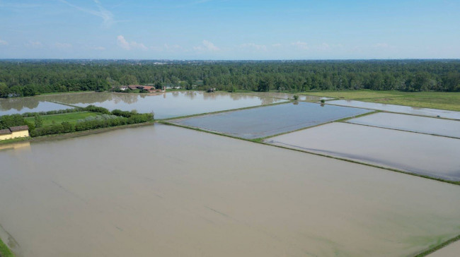 Casale di campagna in vendita a Vigevano