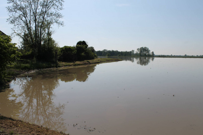 Casale di campagna in vendita a Vigevano