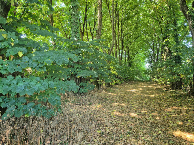 Casale di campagna in vendita a Vigevano