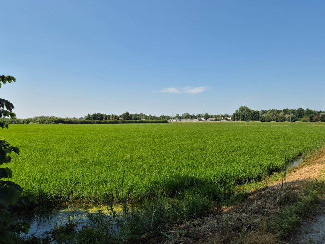 Casale di campagna in vendita a Vigevano