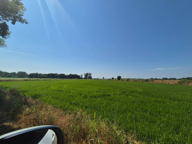Casale di campagna in vendita a Vigevano