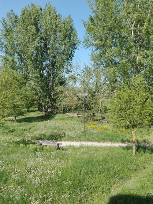 Terreno edificabile in vendita a Terre Del Reno (FE)