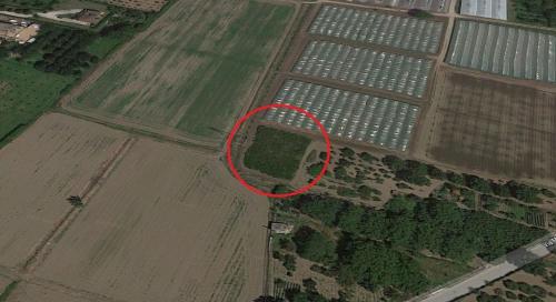 Terreno Agricolo in vendita a Montoro