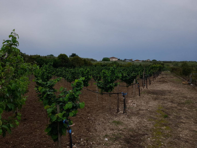 Casa singola in vendita a Altavilla Silentina