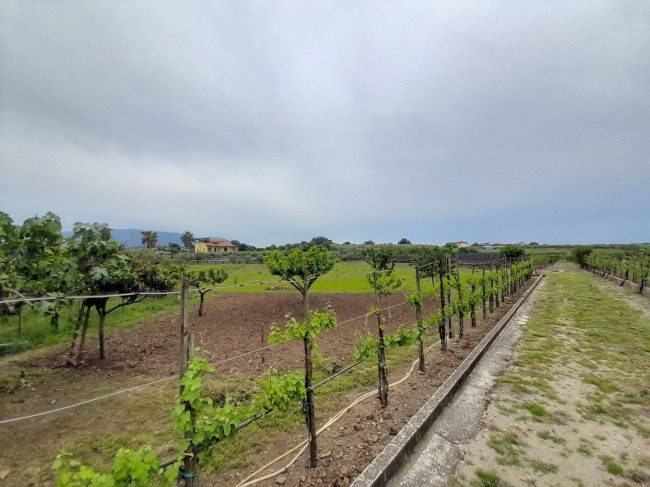 Casa singola in vendita a Altavilla Silentina