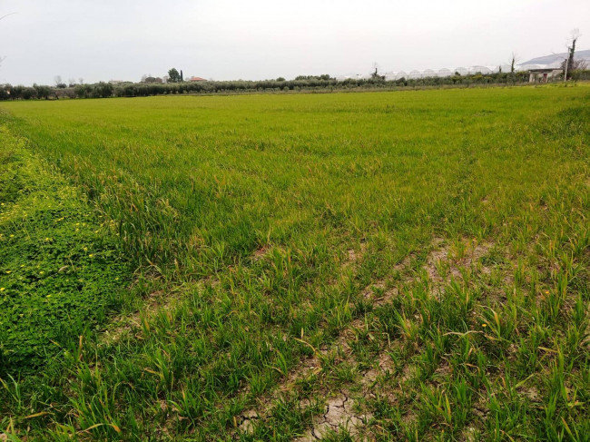 Terreno Agricolo in vendita a Eboli