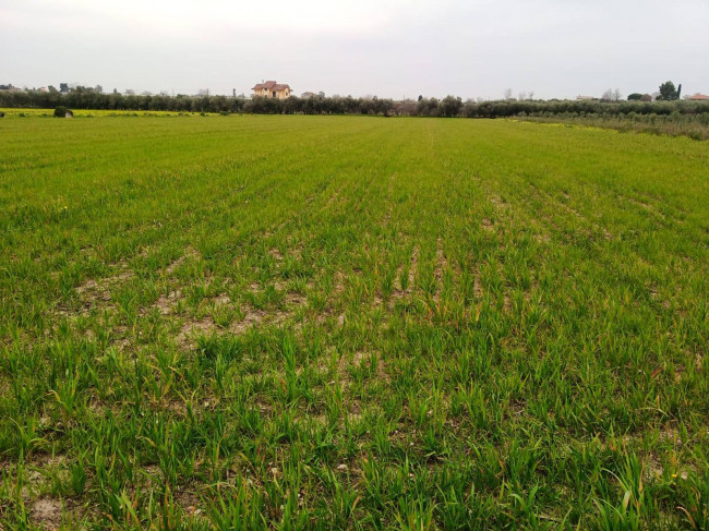 Terreno Agricolo in vendita a Eboli