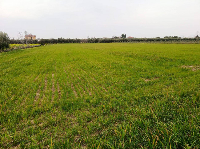 Terreno Agricolo in vendita a Eboli