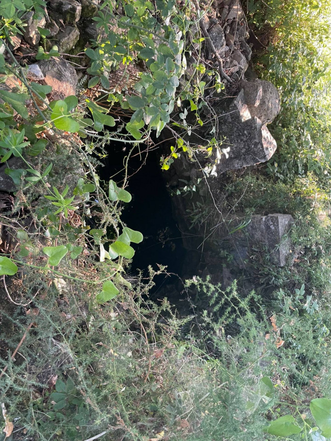 Terreno agricolo in vendita a Serre (SA)