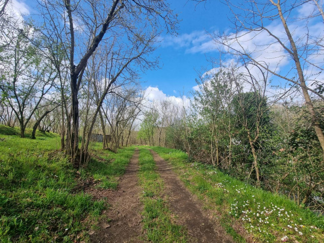 Terreno Agricolo in vendita a Cesinali