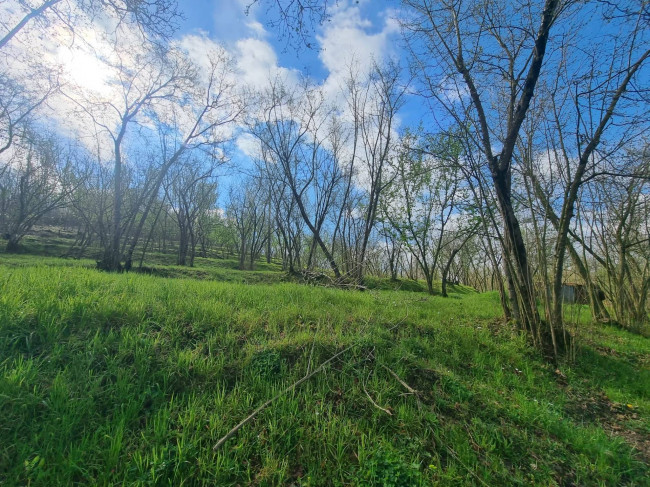 Terreno Agricolo in vendita a Cesinali