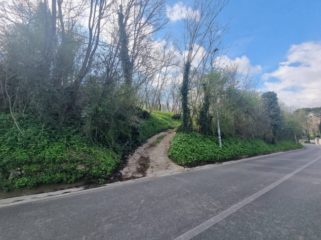 Terreno Agricolo in vendita a Cesinali