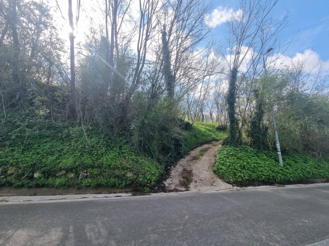 Terreno Agricolo in vendita a Cesinali