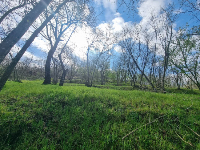 Terreno Agricolo in vendita a Cesinali