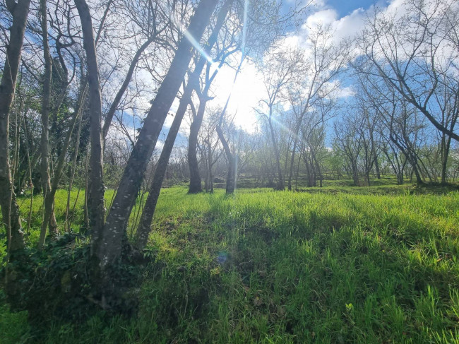 Terreno Agricolo in vendita a Cesinali