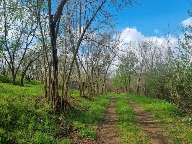 Terreno Agricolo in vendita a Cesinali