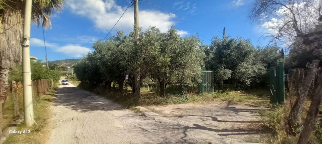 Terreno agricolo in vendita a Eboli (SA)