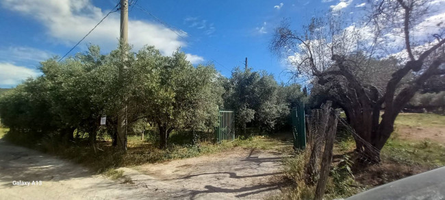 Terreno agricolo in vendita a Eboli (SA)