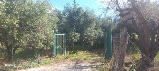 Terreno agricolo in vendita a Eboli (SA)