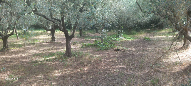 Terreno agricolo in vendita a Eboli (SA)