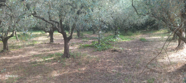 Terreno agricolo in vendita a Eboli (SA)