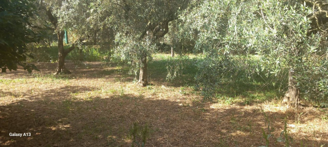 Terreno agricolo in vendita a Eboli (SA)