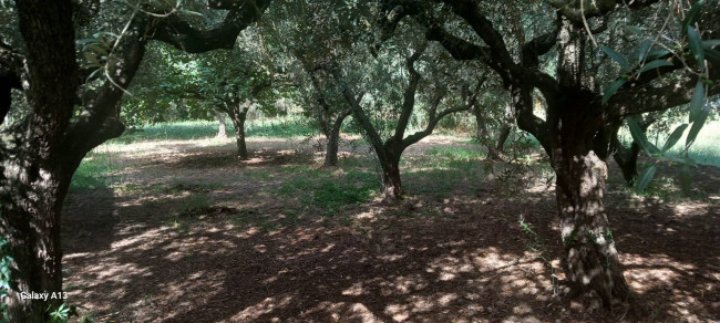 Terreno agricolo in vendita a Eboli (SA)