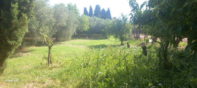 Terreno agricolo in vendita a Eboli (SA)