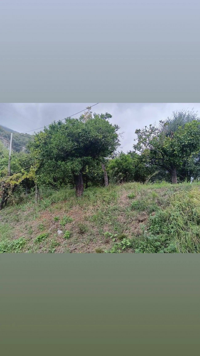 Terreno Agricolo in vendita a Nocera Inferiore