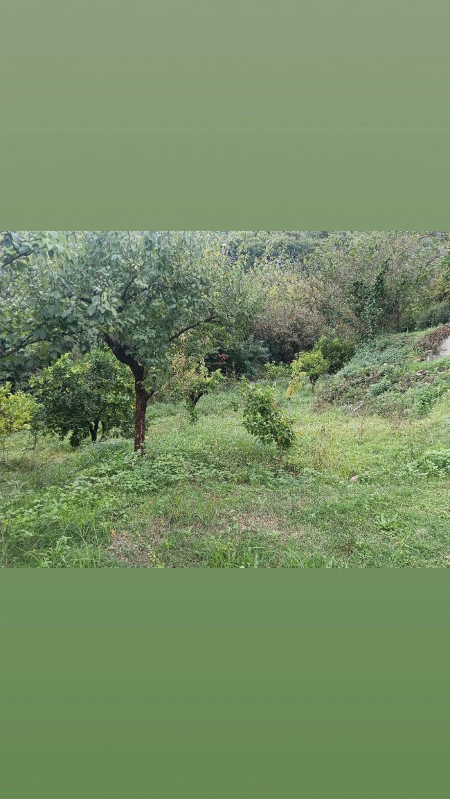 Terreno Agricolo in vendita a Nocera Inferiore