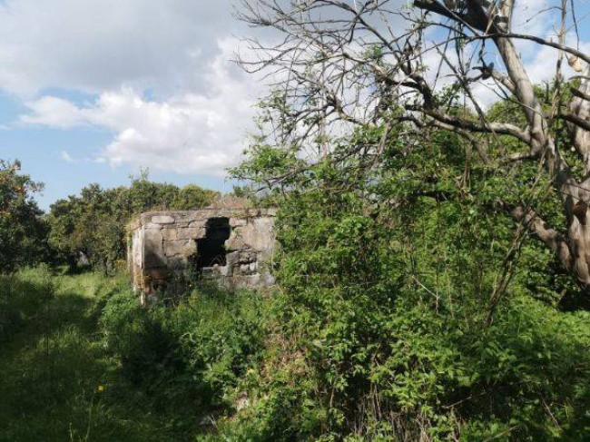 Terreno agricolo in vendita a Nocera Inferiore (SA)