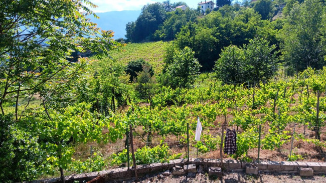 Casa singola in vendita a Tufo