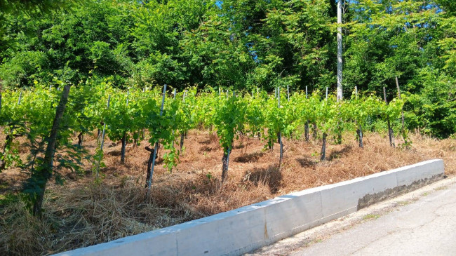 Casa singola in vendita a Tufo