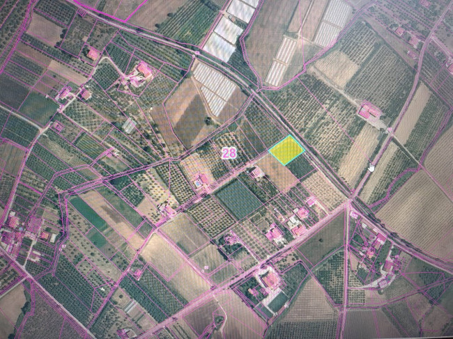 Terreno Agricolo in vendita a Eboli