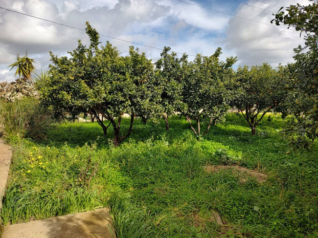 Terreno Agricolo in vendita a Eboli