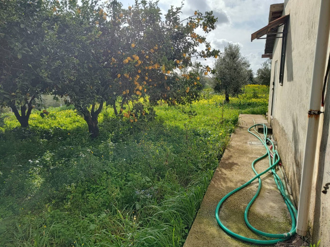 Terreno Agricolo in vendita a Eboli