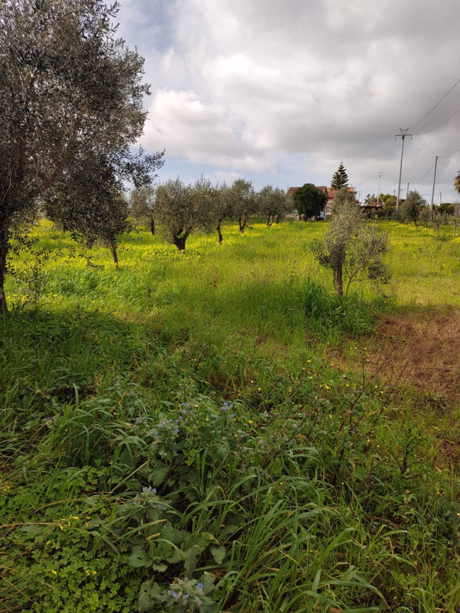 Terreno Agricolo in vendita a Eboli