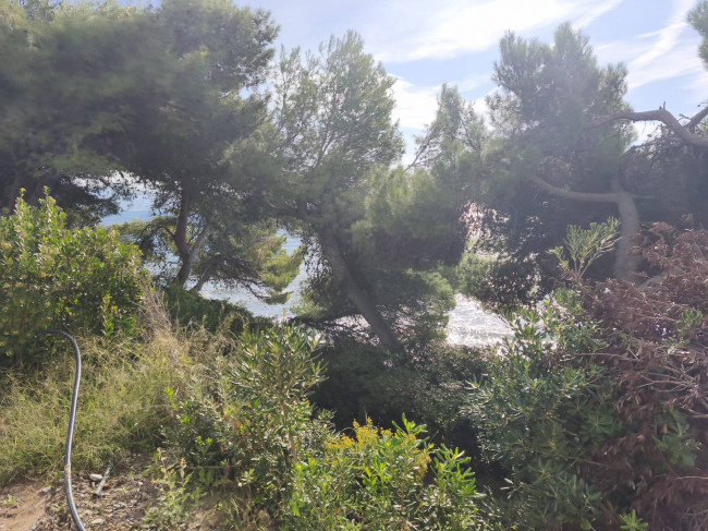 Villa in vendita a Pollica