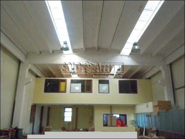 Capannone Commerciale CATANZARO affitto  Santa Maria  Corradino Real Estate di Domenico Corradino