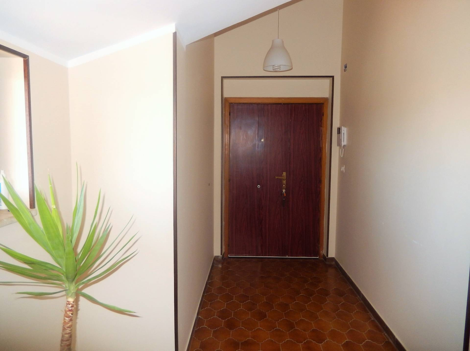 Appartamento LAMEZIA TERME vendita  Sant