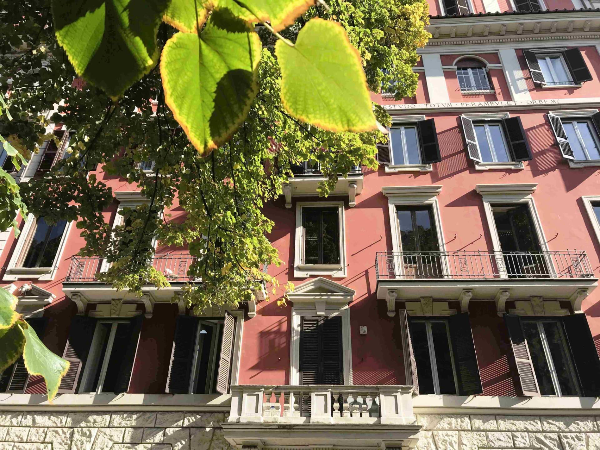 Appartamento ROMA vendita  Prati  l