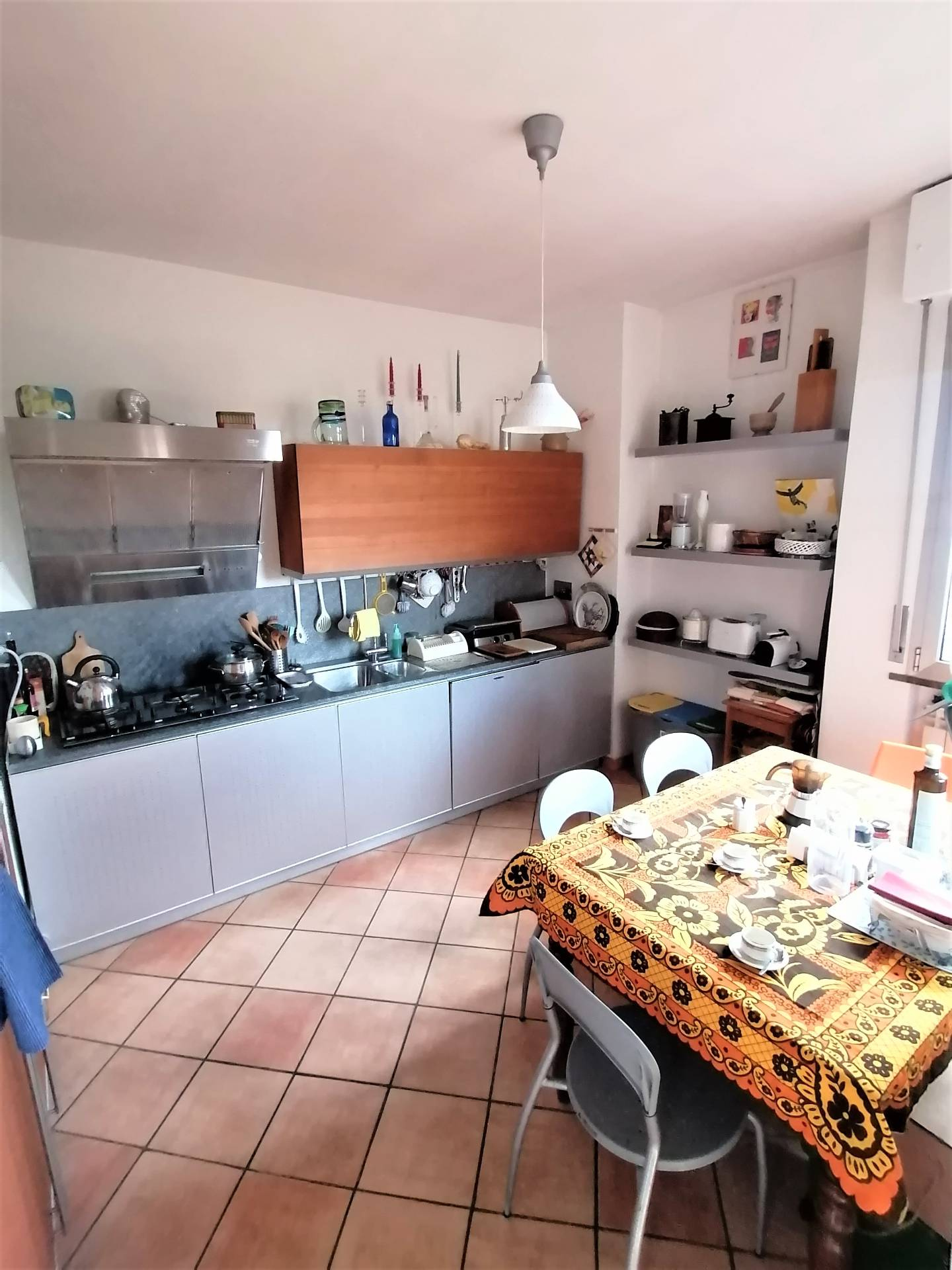 Appartamento ROMA vendita  Grotta Perfetta  l