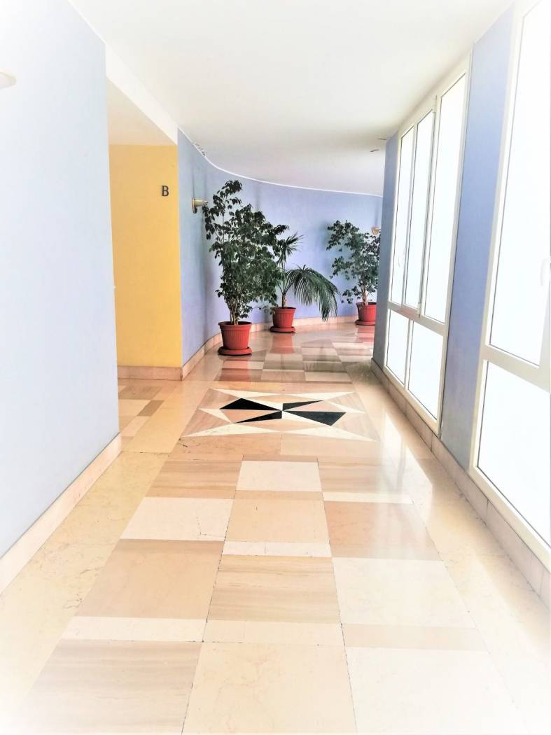 Appartamento ROMA vendita  Balduina  l