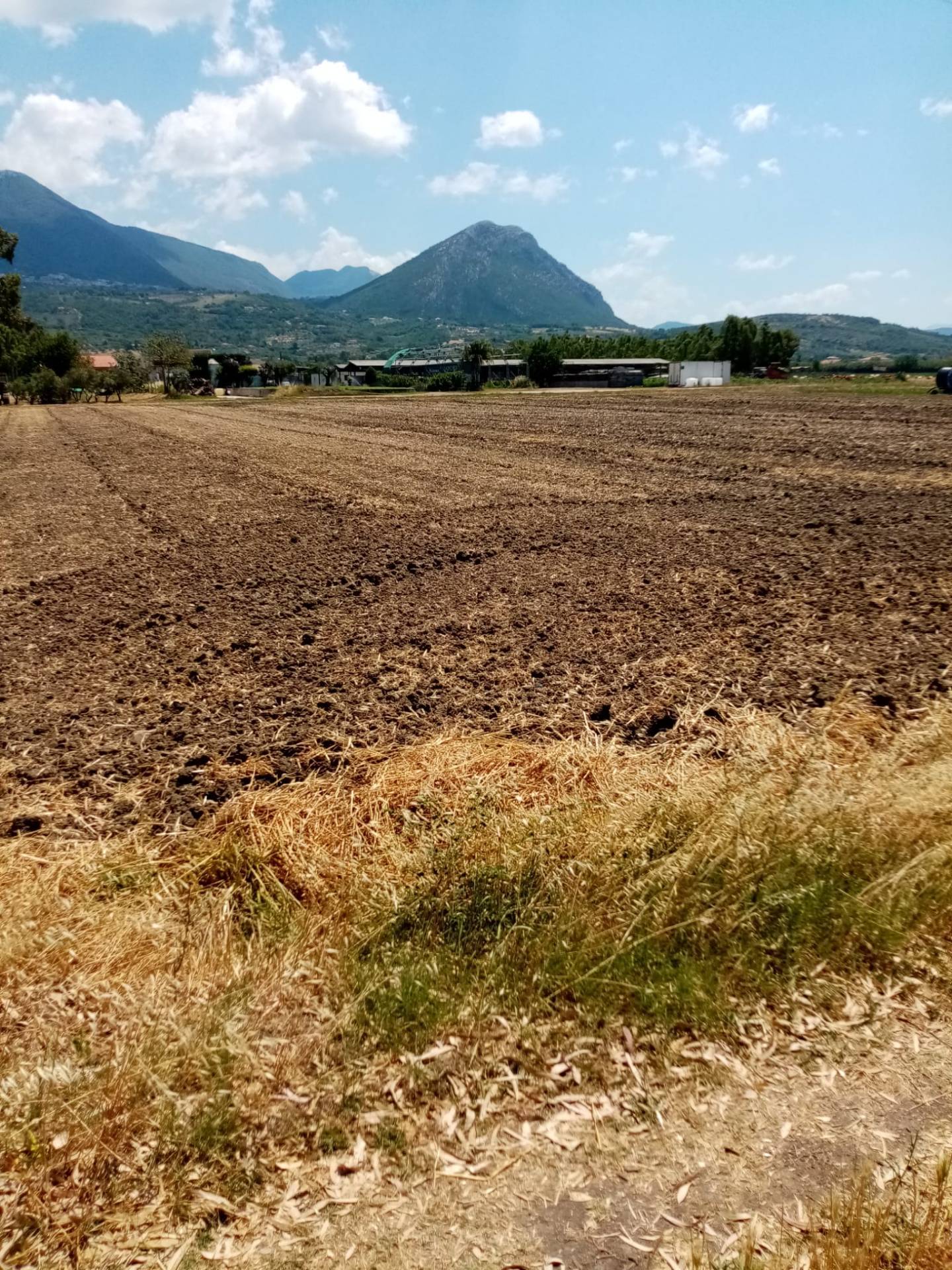 Terreno agricolo in vendita a Paestum, Capaccio Paestum (SA)