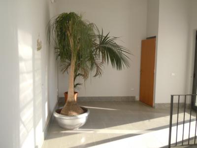 Ufficio in affitto a Santa Maria, Catanzaro (CZ)